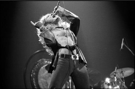 Led Zeppelin Live 1975 10