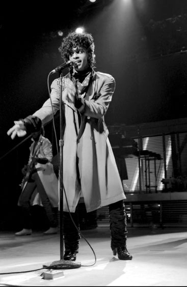 Prince Live 1983 07